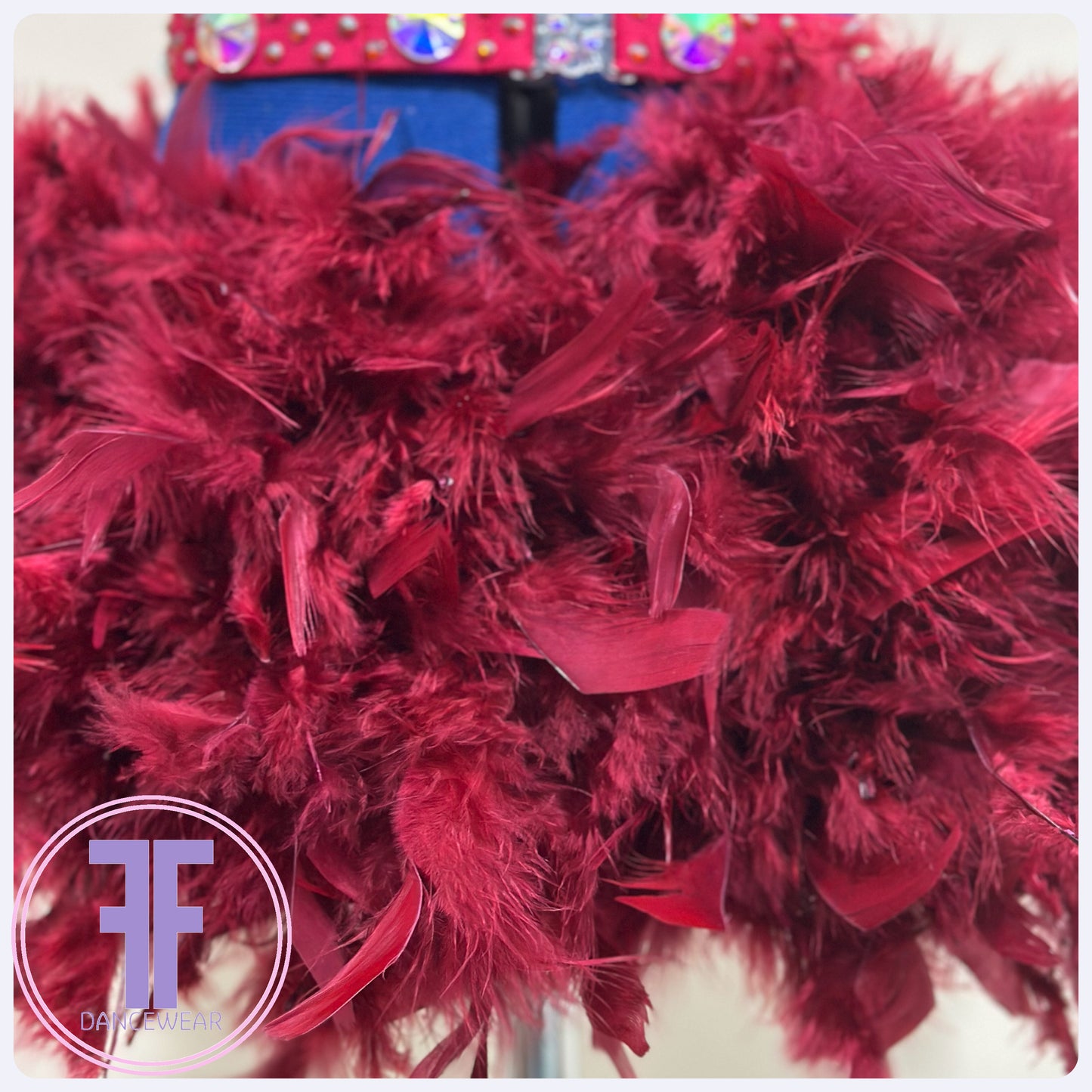 BESPOKE Burgundy Feather Bustle Stoned Modern / Tap Dance Costume (9/10 yrs)