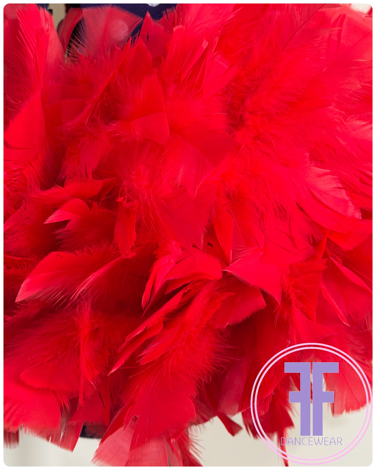 BESPOKE Red Feather Bustle Stoned Modern / Acro / Tap Dance Costume (AS)
